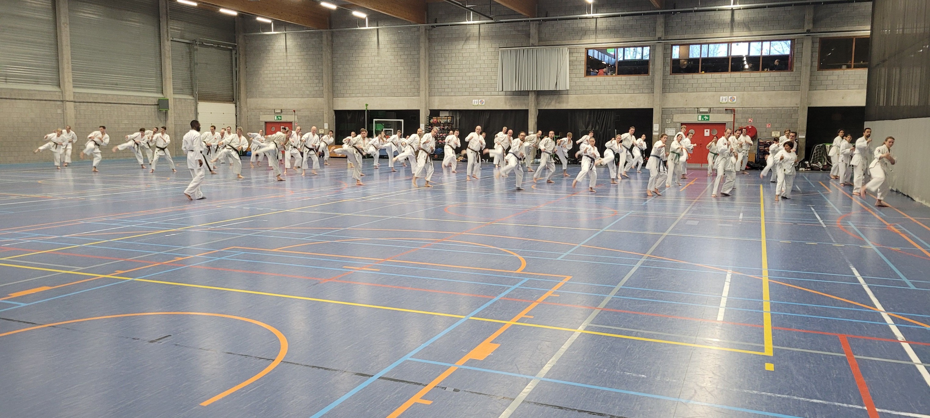 Trainingsdag Tasseikan